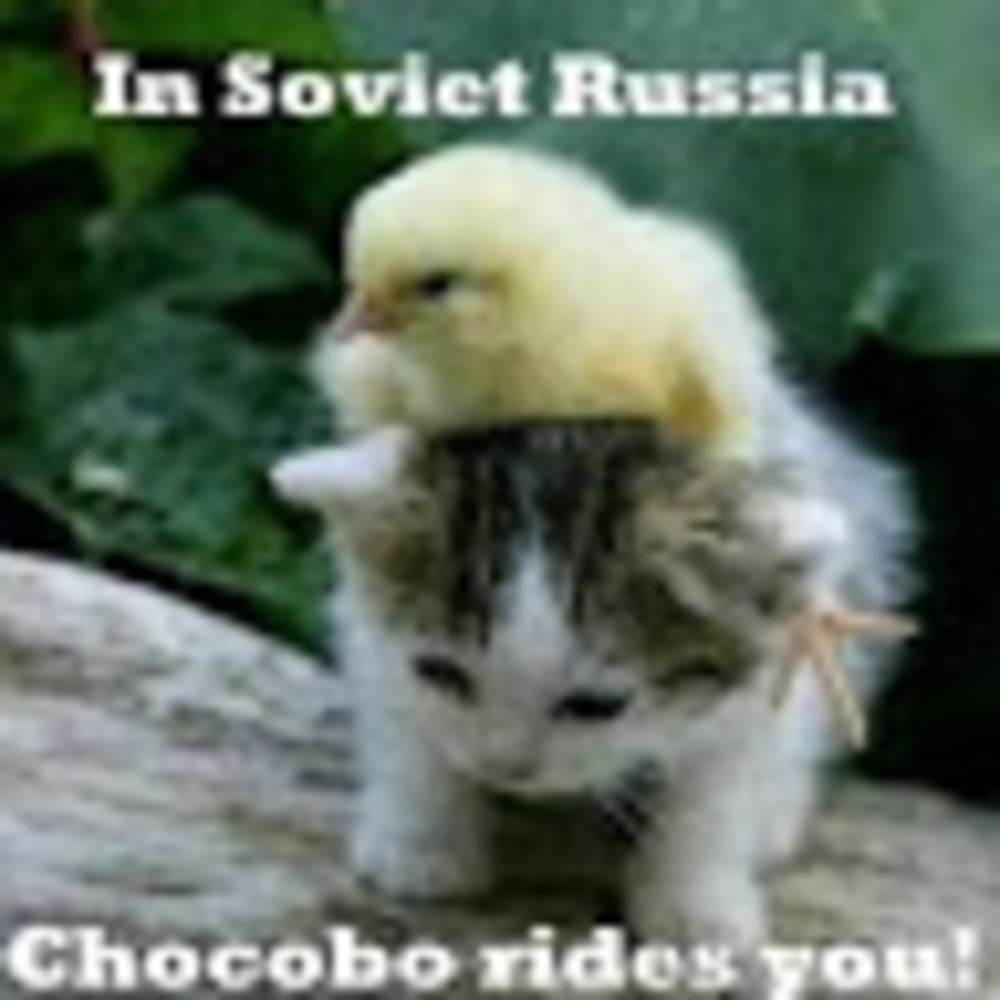 Meet your Posher, Dustin